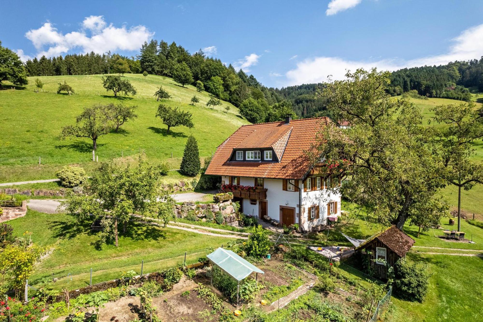 Ferienhaus Vollmer Nordrach Dış mekan fotoğraf